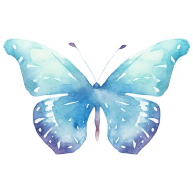 Vektör suluboya kelebek. El çizimi tasarım ögeleri beyaz arkaplanda izole edildi.