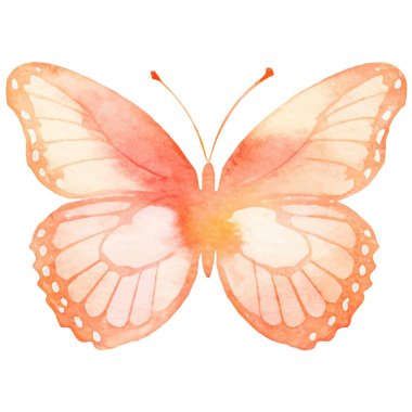 Vektör suluboya kelebek. El çizimi tasarım ögeleri beyaz arkaplanda izole edildi.