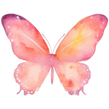 Vektör suluboya kelebek. El çizimi tasarım ögeleri beyaz arkaplanda izole edildi.