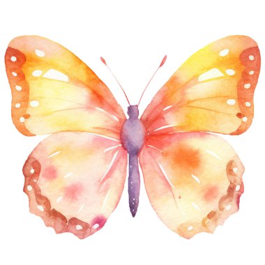 Vektör suluboya kelebek. El çizimi tasarım ögeleri beyaz arkaplanda izole edildi.