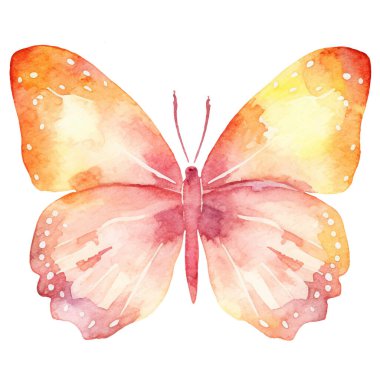 Vektör suluboya kelebek. El çizimi tasarım ögeleri beyaz arkaplanda izole edildi.