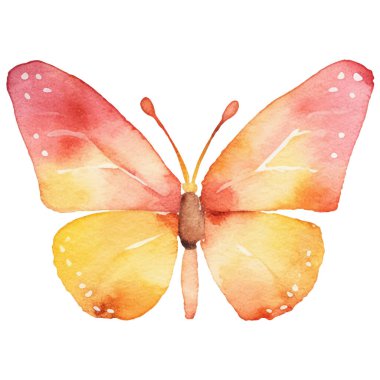 Vektör suluboya kelebek. El çizimi tasarım ögeleri beyaz arkaplanda izole edildi.