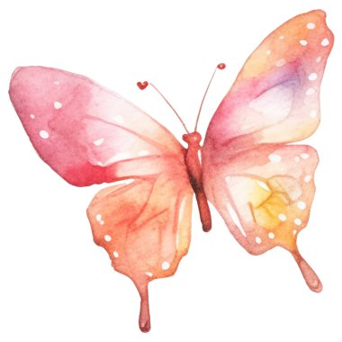 Vektör suluboya kelebek. El çizimi tasarım ögeleri beyaz arkaplanda izole edildi.