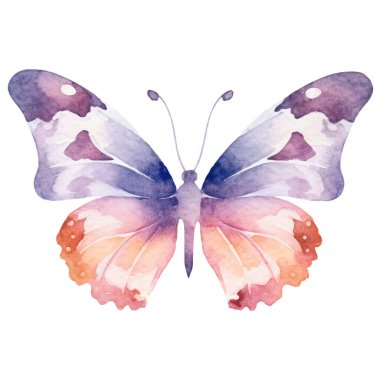 Vektör suluboya kelebek. El çizimi tasarım ögeleri beyaz arkaplanda izole edildi.