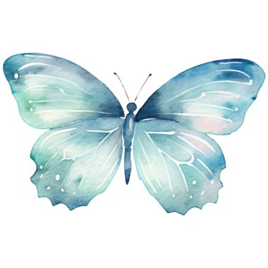 Vektör suluboya kelebek. El çizimi tasarım ögeleri beyaz arkaplanda izole edildi.