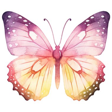 Vektör suluboya kelebek. El çizimi tasarım ögeleri beyaz arkaplanda izole edildi.