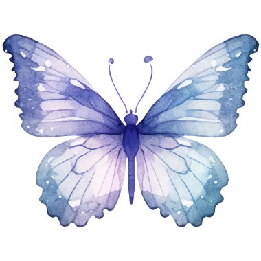 Vektör suluboya kelebek. El çizimi tasarım ögeleri beyaz arkaplanda izole edildi.