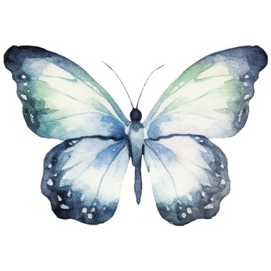 Vektör suluboya kelebek. El çizimi tasarım ögeleri beyaz arkaplanda izole edildi.