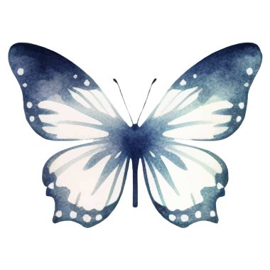 Vektör suluboya kelebek. El çizimi tasarım ögeleri beyaz arkaplanda izole edildi.