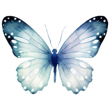 Vektör suluboya kelebek. El çizimi tasarım ögeleri beyaz arkaplanda izole edildi.