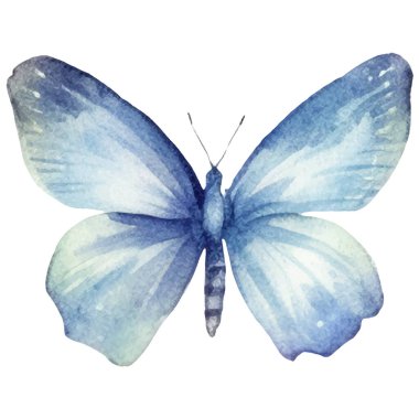 Vektör suluboya kelebek. El çizimi tasarım ögeleri beyaz arkaplanda izole edildi.