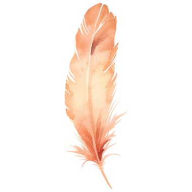 Vektör suluboya boyalı kuş tüyü. El çizimi tasarım ögesi beyaz arkaplanda izole edildi.