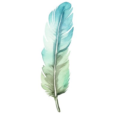 Vektör suluboya boyalı kuş tüyü. El çizimi tasarım ögesi beyaz arkaplanda izole edildi.