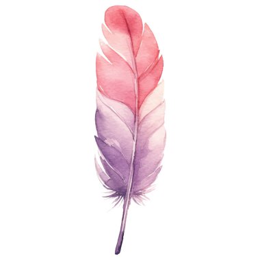 Vektör suluboya boyalı kuş tüyü. El çizimi tasarım ögesi beyaz arkaplanda izole edildi.
