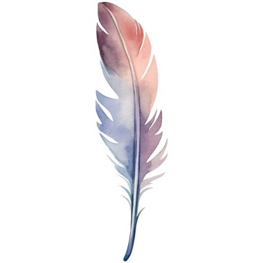 Vektör suluboya boyalı kuş tüyü. El çizimi tasarım ögesi beyaz arkaplanda izole edildi.