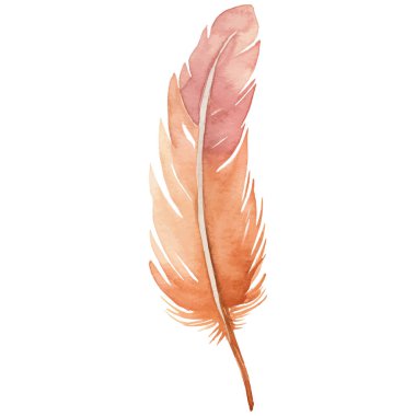 Vektör suluboya boyalı kuş tüyü. El çizimi tasarım ögesi beyaz arkaplanda izole edildi.