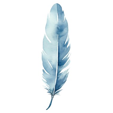 Vektör suluboya boyalı kuş tüyü. El çizimi tasarım ögesi beyaz arkaplanda izole edildi.