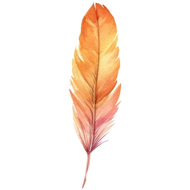 Vektör suluboya boyalı kuş tüyü. El çizimi tasarım ögesi beyaz arkaplanda izole edildi.