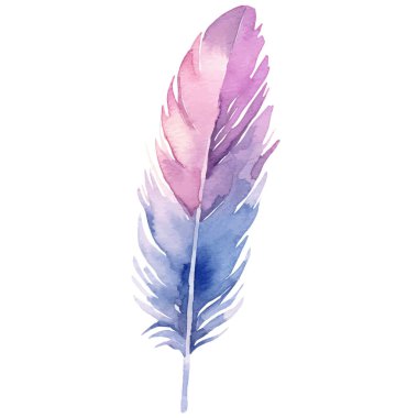 Vektör suluboya boyalı kuş tüyü. El çizimi tasarım ögesi beyaz arkaplanda izole edildi.