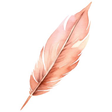 Vektör suluboya boyalı kuş tüyü. El çizimi tasarım ögesi beyaz arkaplanda izole edildi.