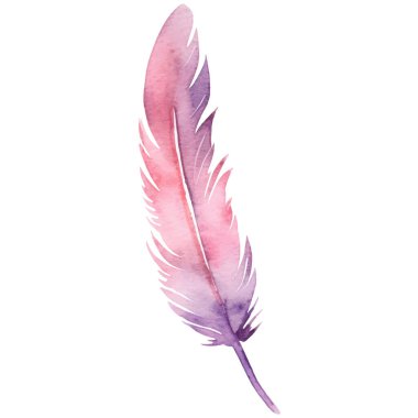 Vektör suluboya boyalı kuş tüyü. El çizimi tasarım ögesi beyaz arkaplanda izole edildi.