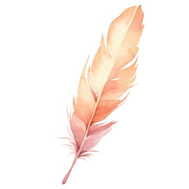 Vektör suluboya boyalı kuş tüyü. El çizimi tasarım ögesi beyaz arkaplanda izole edildi.