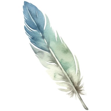 Vektör suluboya boyalı kuş tüyü. El çizimi tasarım ögesi beyaz arkaplanda izole edildi.