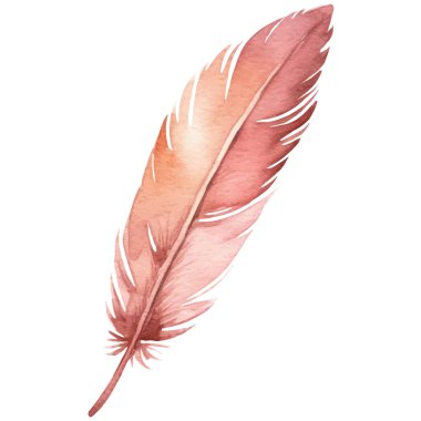Vektör suluboya boyalı kuş tüyü. El çizimi tasarım ögesi beyaz arkaplanda izole edildi.