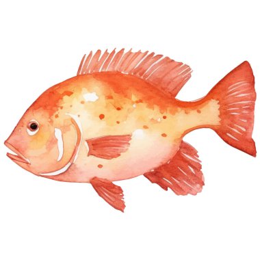 Suluboya balıklar. Beyaz arkaplanda el yapımı taze deniz ürünleri tasarımı elementi izole edildi.