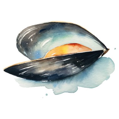 Suluboya midyeler. Beyaz arkaplanda el yapımı taze deniz ürünleri tasarımı elementi izole edildi.