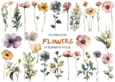 Vektör suluboya çiçek. El çizimi çiçek tasarımı elementleri beyaz arkaplanda izole.