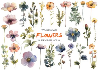 Vektör suluboya çiçek. El çizimi çiçek tasarımı elementleri beyaz arkaplanda izole.