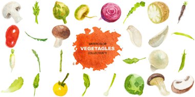 Suluboya boyalı sebzeler. El çizimi tasarım ögeleri beyaz arkaplanda izole edildi.