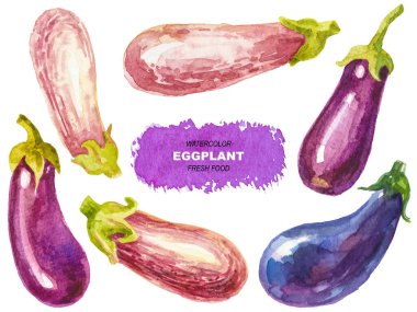 Patlıcan boyalı vektör suluboya. El çizimi tasarım ögeleri beyaz arkaplanda izole edildi.