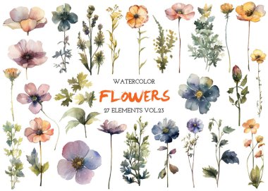 Vektör suluboya çiçek. El çizimi çiçek tasarımı elementleri beyaz arkaplanda izole.