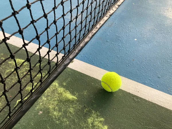 Parlak sarı tenis topu ve kürkleri mavi ve yeşil tenis kortunda siyah ağın yanındaki beyaz çizgide.