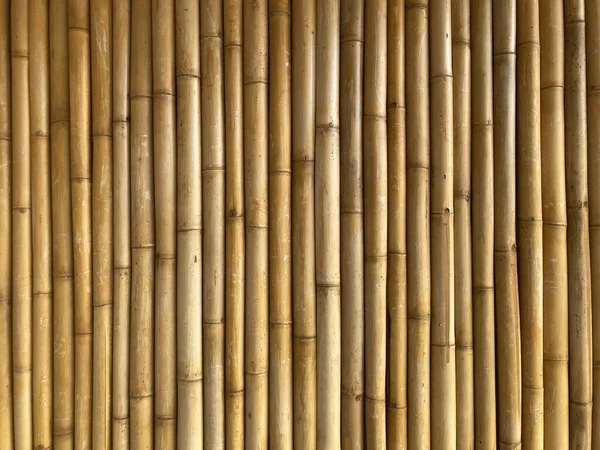 Натуральные Желто Коричневые Бамбуковые Стволы Дерева Соединенные Вместе Виде Стены — стоковое фото