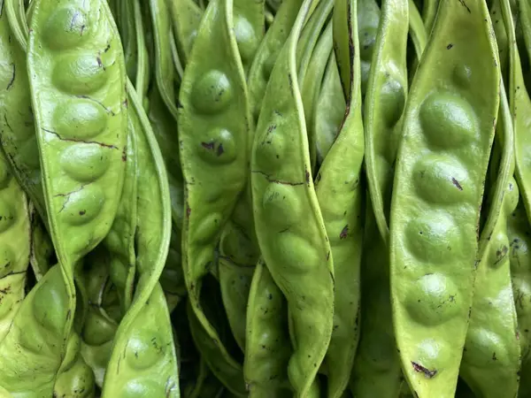 Taze yeşil Güney Tayland Parkia ya da Kokuşmuş fasulye sebzesi açık hava pazarında, arka plan olarak kullanılıyor.