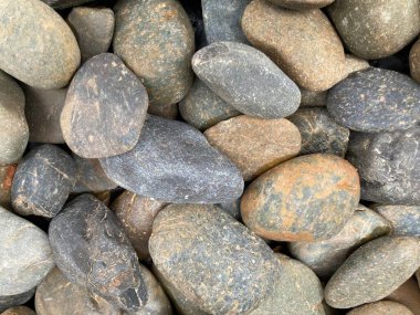 Büyük, doğal, kahverengi ve gri renkli gruplar, arka plan olarak doğal gün ışığında kayalar kullanırlar.