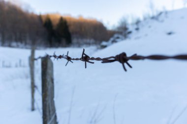 barbed wire at snowy field