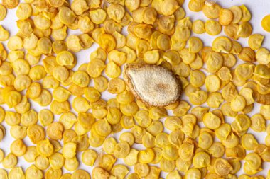 Seed Comparison: Sweet Pepper vs. Pumpkin Seeds in Macro