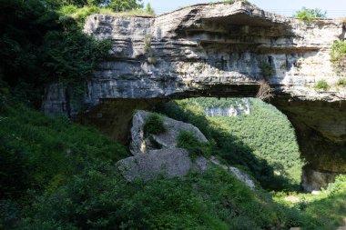 beautiful cliff in the mountains, Captivating view of Ponte di Veja, a natural rock bridge in Verona's Lessinia. The majestic arch, with its intricate cracks, stands in stark contrast to the lush greenery of the surrounding trees