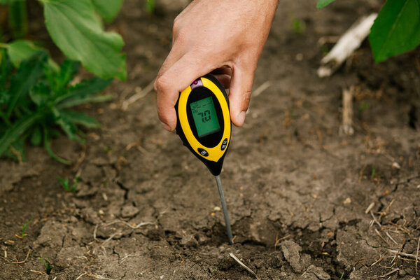 Крупный план мужской руки, держащей инструмент для тестирования почвы, вставленный в землю, с показаниями измерений. На этом снимке выделяются анализ почвы, культура и устойчивые методы земледелия. 