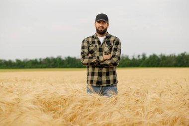 Arpa tarlasında kollarını kavuşturup gülümseyen kendinden emin bir erkek tarım uzmanı. Profesyonel tarım, mahsul yönetimi ve modern tarım kavramı.