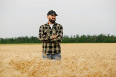 Arpa tarlasında kolları çapraz duran kendinden emin ve profesyonel görünen bir erkek tarım uzmanı. Modern tarım, mahsul izleme ve sürdürülebilir tarım kavramı.
