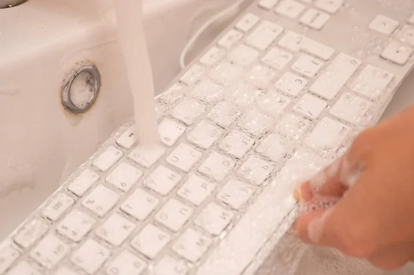 Woman Washing White Computer Keyboard Sponge Foam — Stock Photo, Image