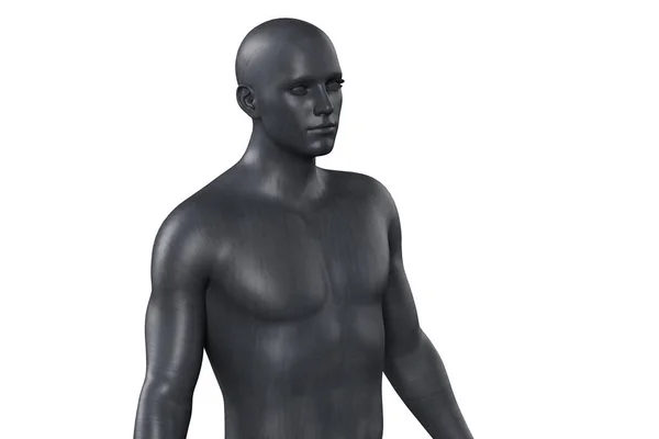 Illustrazione Busto Nero Maschile Sfondo Bianco Manichino Metallo — Foto Stock