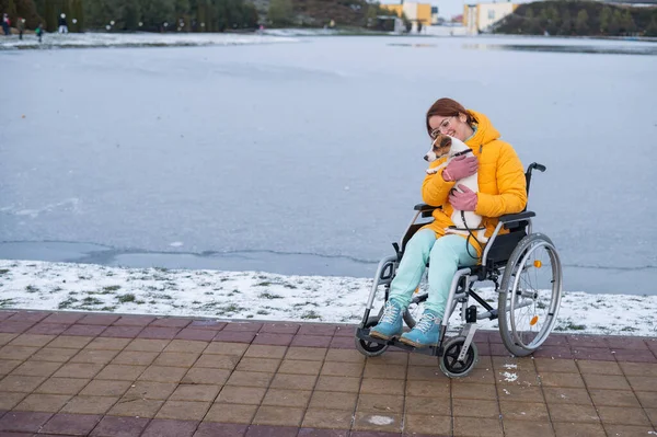 Kaukasierin Rollstuhl Geht Winter Mit Hund Spazieren — Stockfoto