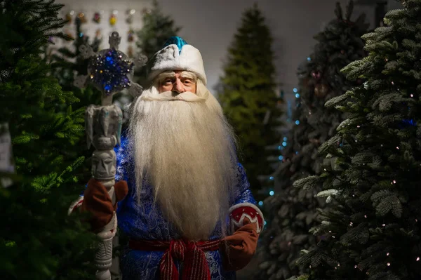 Russian Santa Claus Staff Store Artificial Christmas Trees — Stock Photo, Image
