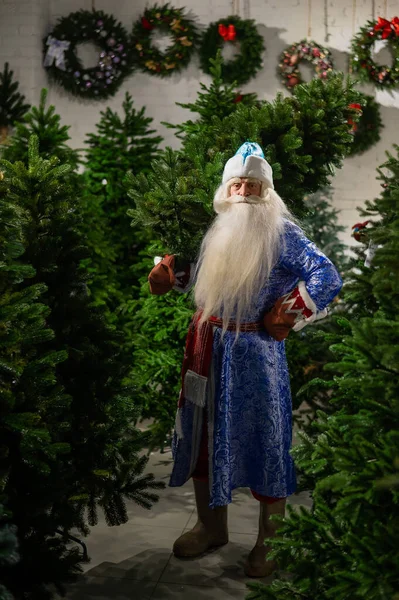Russian Santa Claus Buys Christmas Tree Store — Stock Photo, Image
